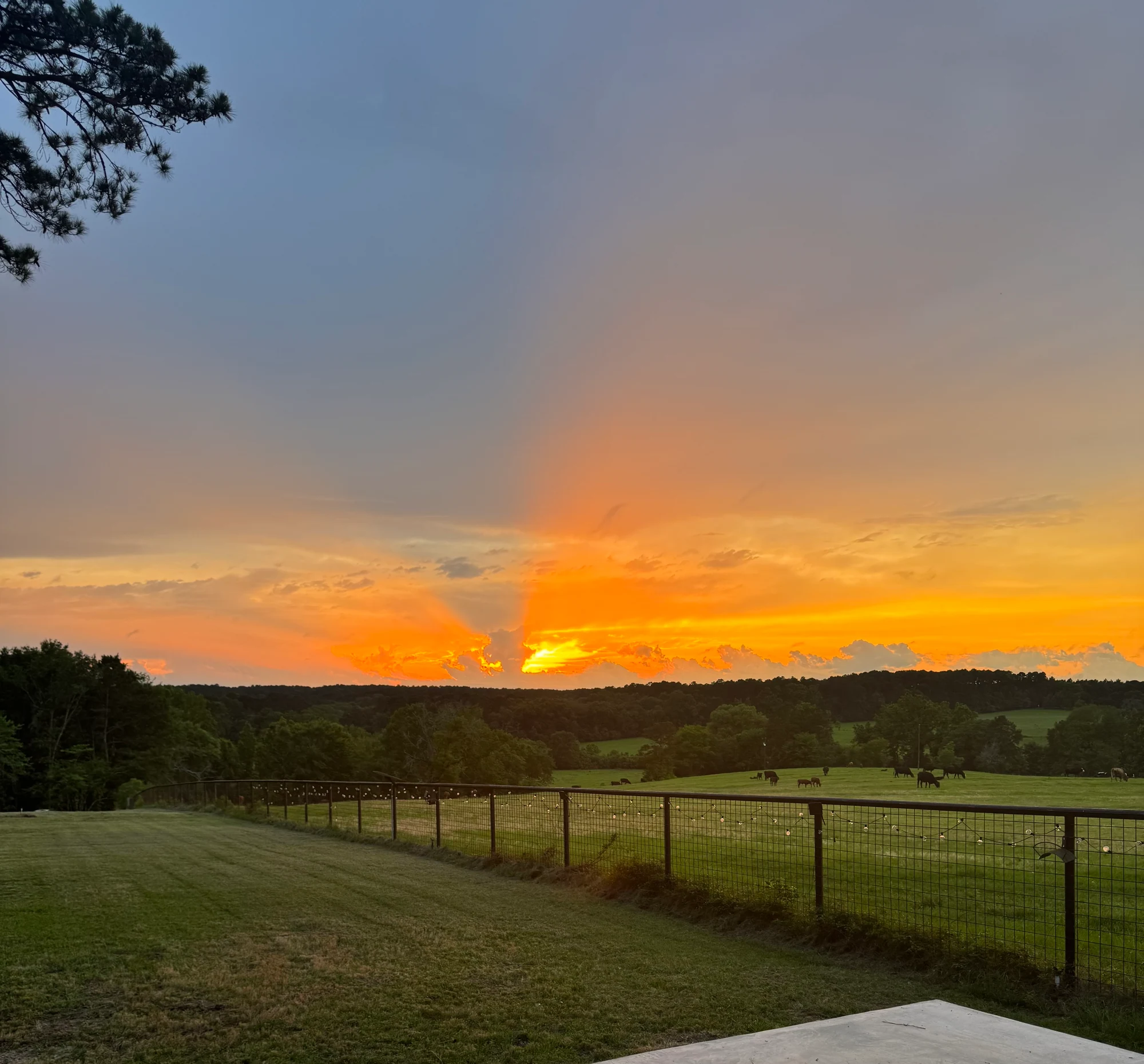 Orange sunset and rays of light over the rolling countryside